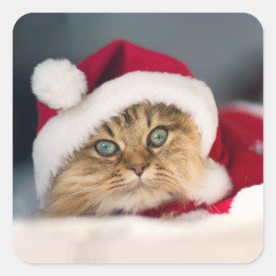 Cute Christmas cat lying Square Sticker