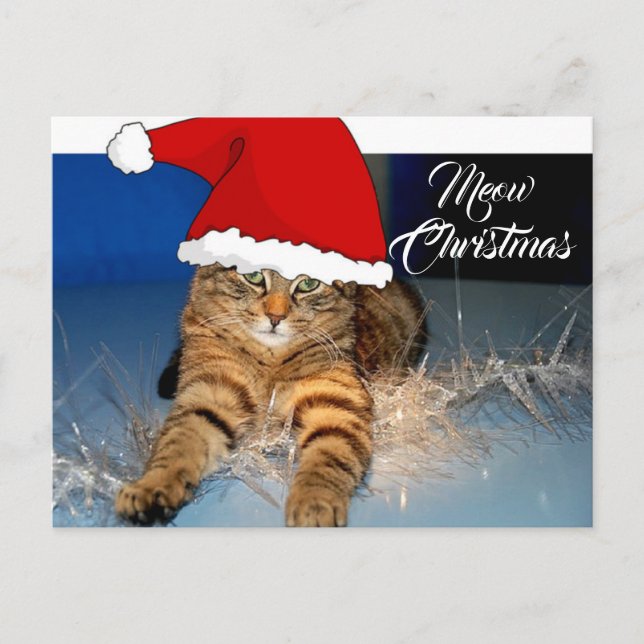 Cute Christmas Cat Postcard with Holiday Greeting (Front)