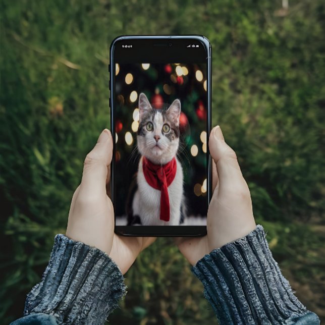 Cute Christmas cat with a bow Poster (Creator Uploaded)