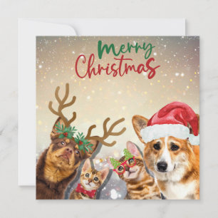 Cute Christmas Cats and Dogs Funny Animals  Holiday Card