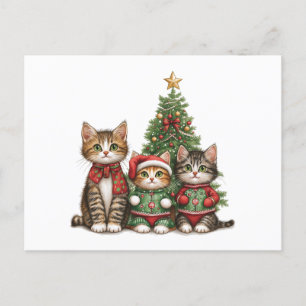 Cute Christmas Cats Holiday Postcard