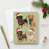 Cute Christmas Dachshunds in Santa Hats and Scarf