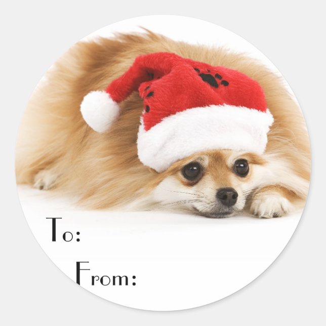 Cute Christmas Dog Gift Stickers (Front)