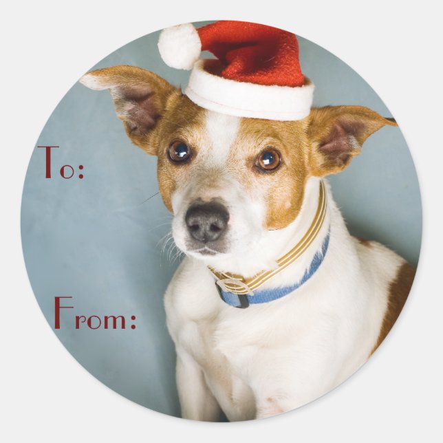 Cute Christmas Dog Name Tags (Front)