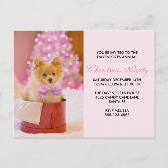 Cute Christmas Dog Photo with Pink Bow Party Postcard (Front)