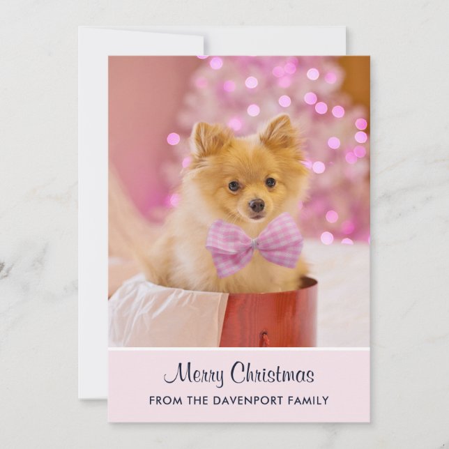 Cute Christmas Dog Photo with Pink Bow & Tree Holiday Card (Front)