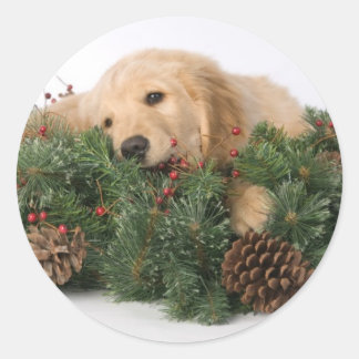Cute Christmas Dog Stickers