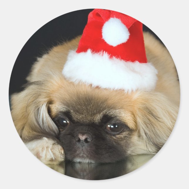 Cute Christmas Dog Stickers (Front)