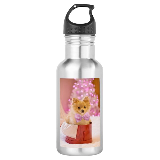 Cute Christmas Dog with Pink Bow Photo 532 Ml Water Bottle (Front)