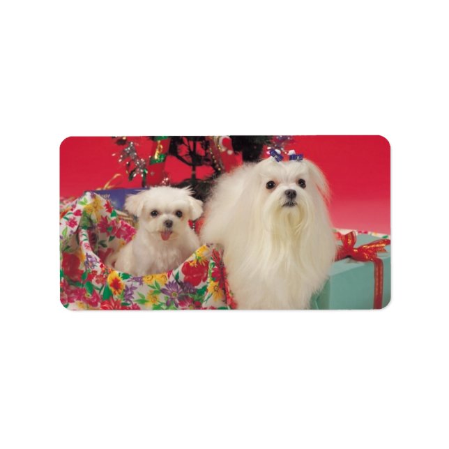 Cute Christmas Dogs Puppies Label Stickers (Front)