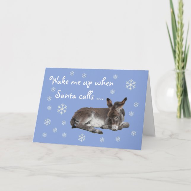 Cute Christmas Donkey Card (Front)