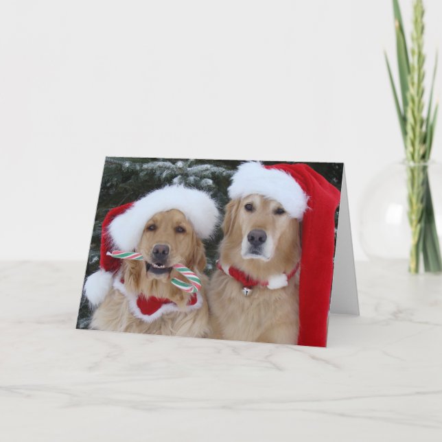 Cute Christmas Golden Retrievers Holiday Card (Front)