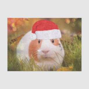 cute christmas guinea pig tissue paper