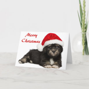 Cute Christmas Havanese Puppy Dog Holiday Card