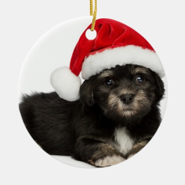 Cute Christmas Havanese Puppy Dog Metal Ornament (Front)