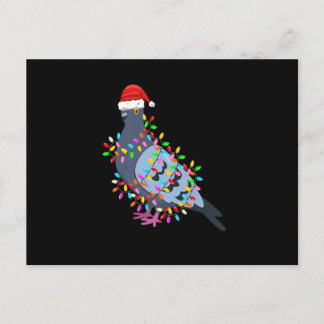 Cute Christmas Lights Pigeon Wearing Xmas Hat - Pi Holiday Postcard