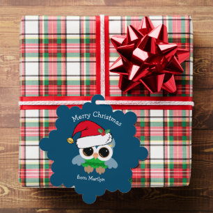 Cute Christmas Owl in Santa Hat Custom Blue Ornament Card