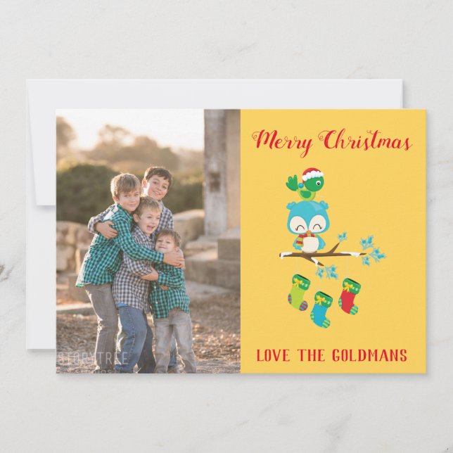 Cute Christmas Owl Photo Holiday Card (Front)