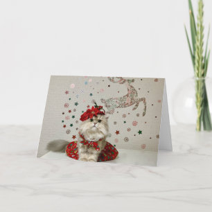 Cute Christmas Persian Cat Card
