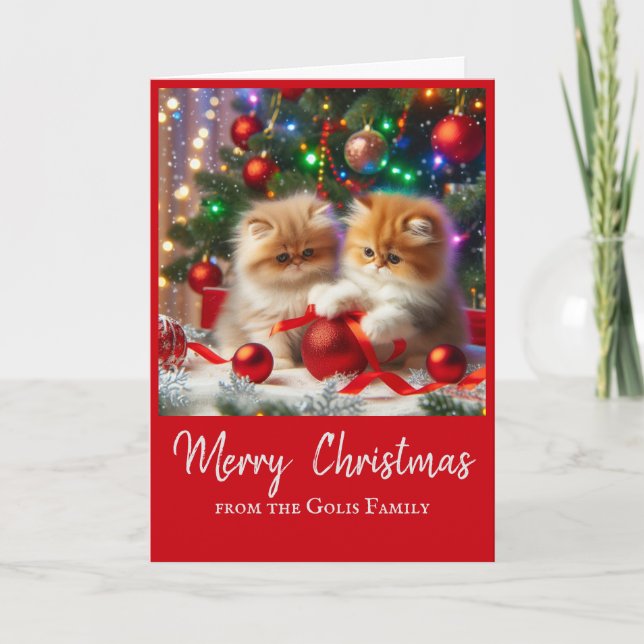 Cute Christmas Persian Cats Holiday Greeting  Card (Front)