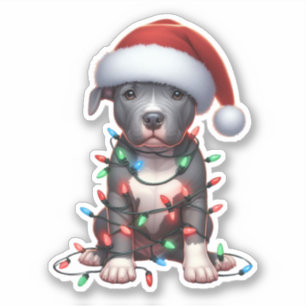 Cute Christmas Pitbull