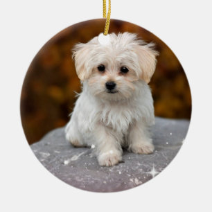 Cute Christmas Puppy Ornament