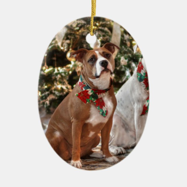 Cute Christmas Rescue Pitbull and America Bull Dog Ceramic Ornament (Front)