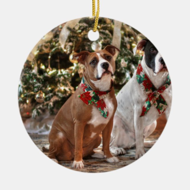 Cute Christmas Rescue Pitbull and America Bull Dog Ceramic Ornament (Front)