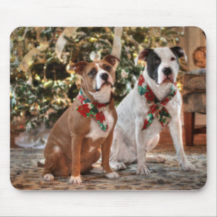 Cute Christmas Rescue Pitbull and America Bull Dog Mouse Pad