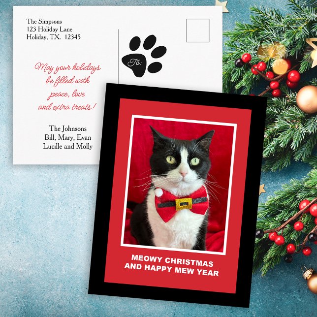 Cute Christmas Tuxedo Cat Postcard (Creator Uploaded)