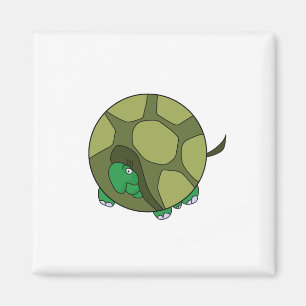 Cute Chubby Turtle Magnet