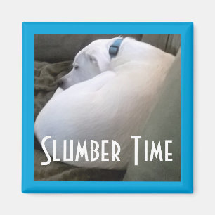 Cute Chubby White Sleeping Puppy Dog Slumber Party Magnet