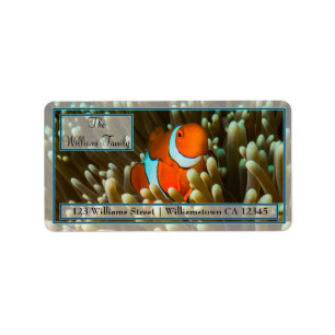 Cute Clownfish Great Barrier Reef Coral Sea Label