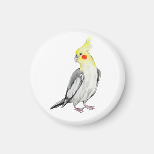 Cute Cockatiel Watercolor Parrot.  Magnet