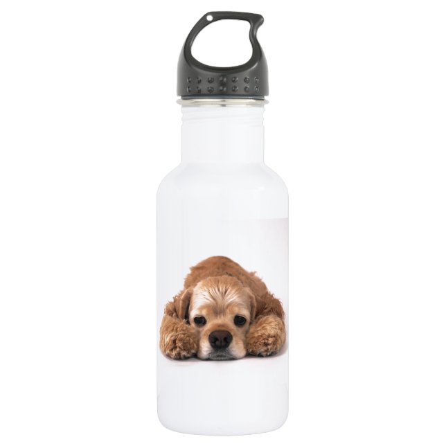 Cute Cocker Spaniel 532 Ml Water Bottle (Front)