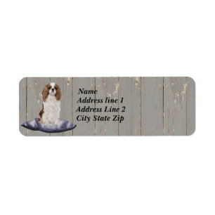 Cute Cocker Spaniel Assis Sur Un Coussin Bleu