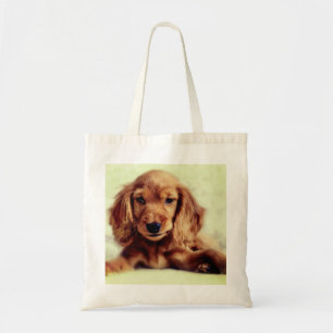 Cute Cocker Spaniel Chien Chien Chien Chien Sac fo