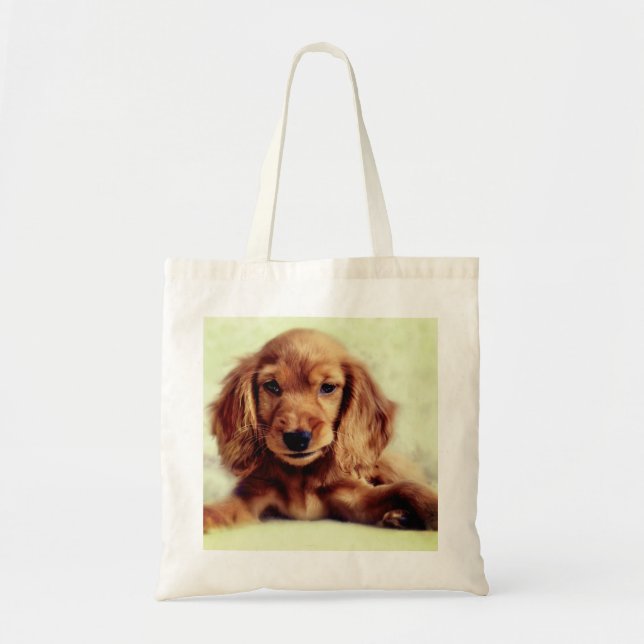 Cute Cocker Spaniel Chien Chien Chien Chien Sac fo (Devant)