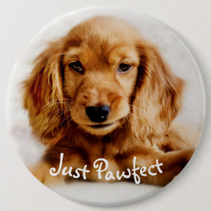 Cute Cocker Spaniel Dog Badge/Pin 6 Inch Round Button