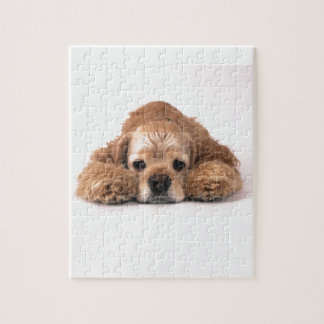 Cute Cocker Spaniel Jigsaw Puzzle