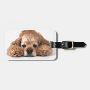 Cute Cocker Spaniel Luggage Tag