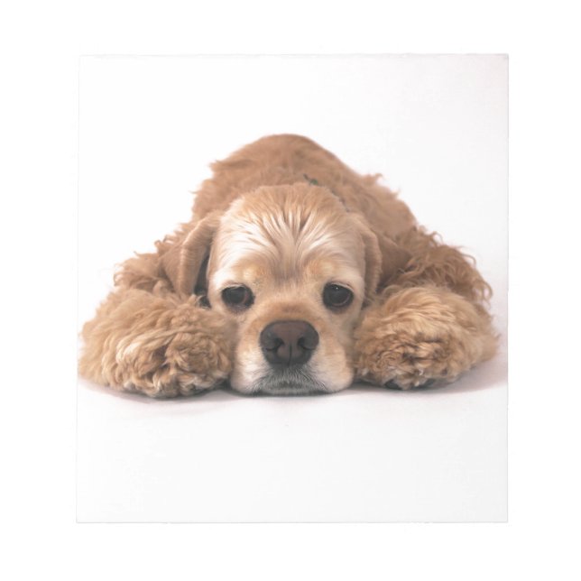 Cute Cocker Spaniel Notepad (Front)