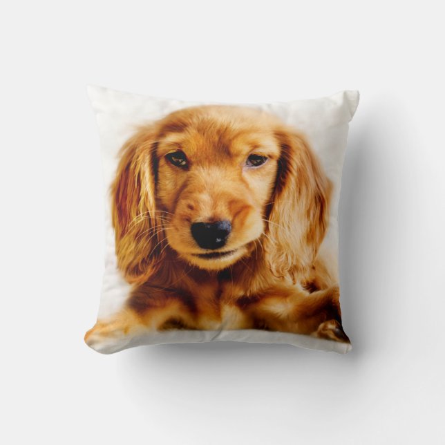 Cute Cocker Spaniel Puppy Cushion (Front)