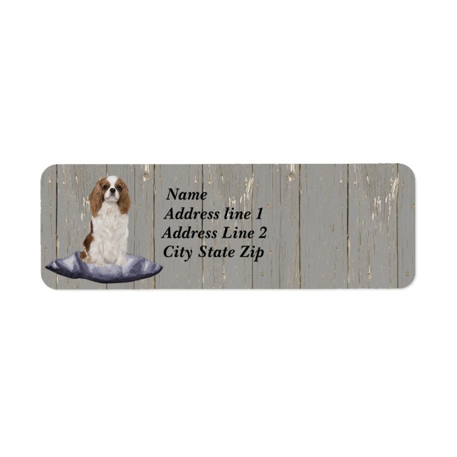 Cute Cocker Spaniel Sitting On Blue Cushion (Front)