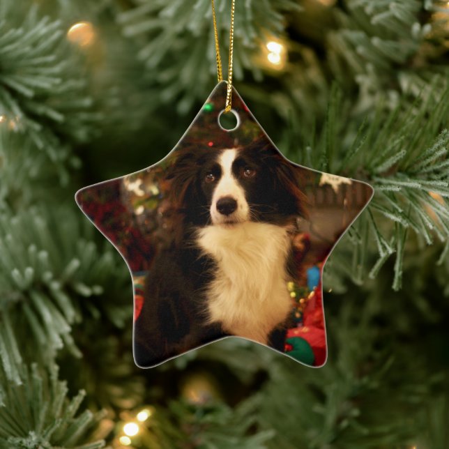 Cute Collie and Christmas Tree Ceramic Ornament (Tree)