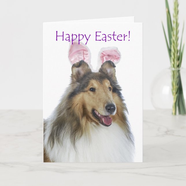 Cute Collie Easter Card (Front)