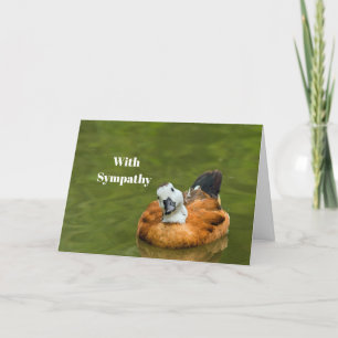 Cute Colorful Duck Photo Sympathy Card