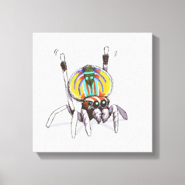 Cute Colorful Peacock Spider Drawing Art Canvas Print (Front)