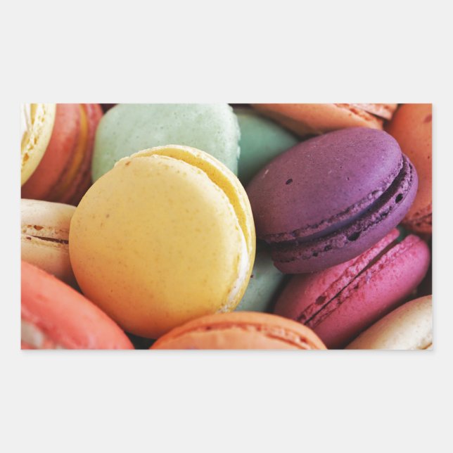 Cute Colourful Dessert French Macaron Sticker (Front)
