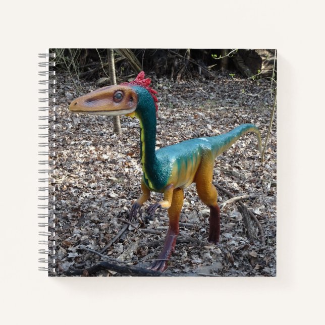 Cute Colourful Dinosaur Square Notebook (Front)